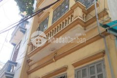 Ô tô tránh kinh doanh sầm uất chẳng mấy mà giầu.