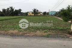 Bán gấp miếng đất 275m2 full thổ cư long an