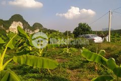 Đất rừng siêu đẹp lạc thủy, hòa bình 8,5ha, giá 8 tỷ