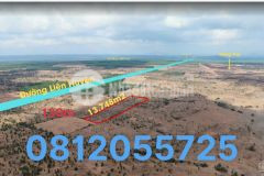 Bán lô đất đường liên huyện xã bình tân bình thuận cách sân bay 10km shr