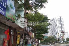 Nhà mặt phố tây sơn, 5 tầng, mặt tiền 6m, quá đẹp, kinh doanh sầm uất, 16 tỷ, 0703451750.