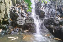 Bán 10ha đất rsx có thể chuyển sang đất vườn bám suối to tại lương sơn