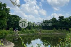 Bán khách sạn 3 sao, mp quận cầu giấy, 350m2, 8tầng, 60phòng, 165tỷ