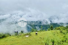 Mảnh đất vị trí đắc địa view đẹp xuât sắc tại sapa có sổ đỏ an toàn đầu tư