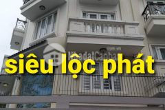 Nha hxh gân công viên cây xanh hông lac phương 10 tân binh