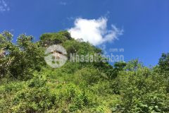 Bán 1,1ha đất thị trấn mộc châu có sẵn thổ cư,hội tụ nhiều yếu tố đầu tư thắng lớn giá ưu đãi