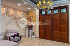 Gấp nhà phân lô vip phố vạn bảo 65mx5t, mt6m 14 tỷ.