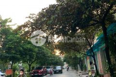 Bán siêu phẩm lô góc lk nguyễn văn lộc,vỉa hè,kd,80m x 4 tầng 10.15 tỷ