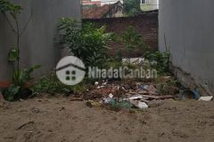 Ngọc trì long biên 60m2 mt 5m đất đẹp thông số vàng ngõ thông ô tô tránh chỉ 3.7 tỷ.