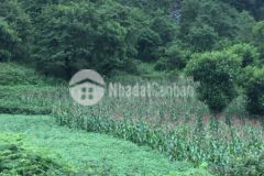 Bán đất nền nghỉ dưỡng gần dự án biển mây phan cán sử, y tý sapa 2