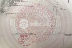 Bán đất mặt tiền đường 902 mang thít vĩnh long