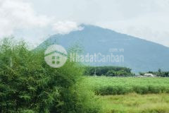 Đất đầu tư gần tp tây ninh chỉ 350triệu1000m2 đất, sổ sẵn, hàng sinh lời cao