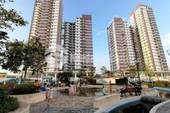 Căn hộ sang trọng 2 pn chung cư vision 1, giá hot, quận bình tân