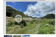 Sapa cắt lỗ mùa cô vít cơ hội vàng cho các nhà đầu tư