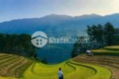 Y tý hót nhất 2021 cơ hội cho các nhà đầu tư