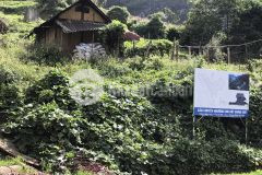 Cắt sâu lô đất ở sapa khu du lịch nghỉ dưỡng trong mùa cô vid