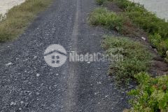 Bán 50000m2 đất nuôi trồng thủy hải sản tại cần giờ, sổ đỏ, 29.5tỷ. lh0969011124