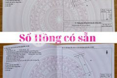 Cần bán 3 lô đất thổ cư p an hòa full thổ cư cách ql51 chỉ 1 km giá chỉ 1,2 tỷ