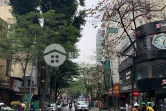 Đất vàng phố huế mặt phố quận hai bà 66m c4 22tỷ giá cực tốt kinh doanh đỉnh