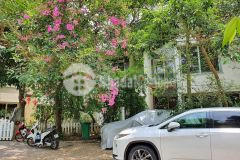 Đầu tư biệt thự ecopark tránh dịch siêu đẹp, 250m2, lô góc, mặt tiền 11m, giá siêu rẻ