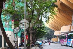 Nhà mặt phố trịnh hoài đức, 6 tầng, mặt tiền 11m, quá đẹp, kd sầm uất, 33 tỷ, 0703451750.