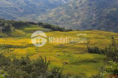 100m2 mảnh đất trung tâm chợ y týsapa2 giá siêu đẹp cho nhà đầu tư