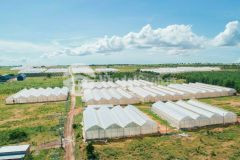 Gấp 1ha đất hồng thái ngay đường liên huyện giá chỉ 90.000đm2