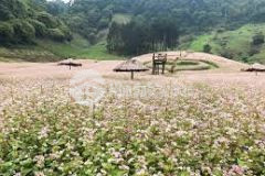 Bán mảnh đất view siêu đẹp tại tiểu khu chiềng đi, mộc châu thích hợp làm nhà vườn, khu nghỉ dưỡng