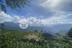 Bán đất giá covid siêu phẩm ngắm mấy tại y tý 3689m2