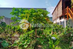 Có 102 vũ xuân thiều lb 120m2 đất mt6m đầu tư đỉnh thông số vàng ngõ thông ô tô chỉ 5.8tỷ