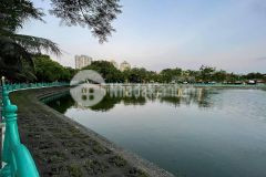 Bán toà lâu đài view hồ tây, 500m2, 4tầng, mặt tiền 15m, 250tỷ