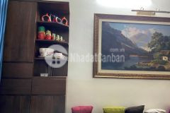 Bán nhà láng 43m2x5t tặng nội thất gỗ oc chó cao cấp giá chào 5 tỷ 2