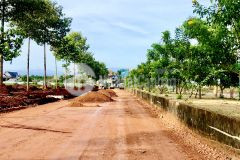 Giá f0, chiết khấu khủng, cơn sốt sau covid, duy nhất tại bình phước