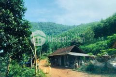 Siêu phẩm thanh sơn, phú thọ 150ha, giá 9,7 tỷ