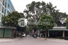 Gấp bán nhà 5 tầng phố nguyễn văn huyên, cầu giấy, kinh doanh đỉnh, ôtô tránh, giá 13,5 tỷ.