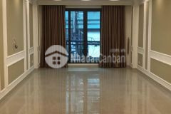 Siêu phẩm nhà phố lê hồng phong, 7 tầng thang máy, 56m2, ô tô, kinh doanh