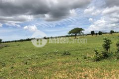 Bán 6396m2 đất xã phan thanh cách quốc lộ 1a chỉ 2km, gần kênh nước. lh 0905590116