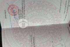 Cần bán 02 lô đất tại mb 5303 đông tân thành phố thanh hóa