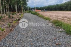Đất đầu tư tiềm năng, cách nhựa 50m, gần khu công nghiệp chỉ hơn 300triệu