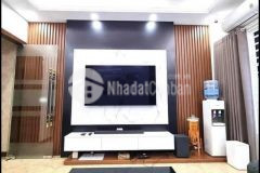 Bán nhà phân lô ô tô tránh kinh doanh nhà đẹp view công viên vườn hoa