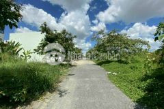 Bán cặp nền đường b25 khu hưng phú,q.cái răng,cần thơ,sổ hồng