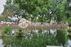 Cả phố mậu lương một căn duy nhất bán, vị trí view 2 hồ tự nhiên, 52 m, giá 5.8 tỷ