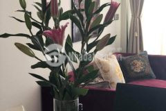 Bán nhà ngã tư hàng xanh bình thạnh, 4,3 tỷ, cực đẹp.