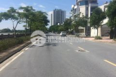 Đất đẹp 2 mặt tiền vị trí đắc địa phố phúc lợi long biên dt 85m2. gía 165 triệu m2