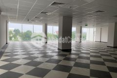 Cho thuê văn phòng mới nằm trên đường 29, giá chỉ 278,000đm2, lh office danang