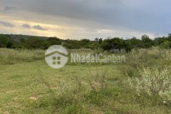 Bán đất view biển xã hồng thái diện tích 10.000m2 shr