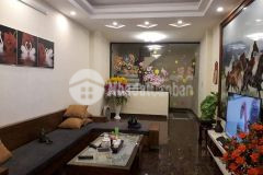 Bán nhà nguyên hồng,huỳnh thúc kháng,láng hạ,ba đình 55m2,9t,mt5m,nhỉnh 23tỷ
