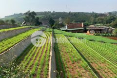 Bán 6000m2 đất nghĩ dưỡng bảo lộc, lâm đồng, view đẹp 1.6 tỷ 1000m2. lh0907787699