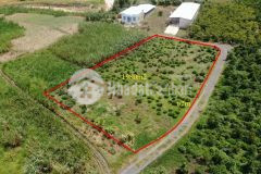 Bán 1980m2 đất 2mt tại lộc châu, tp. bảo lộc, 3.8 tỷ. lh0907787699.