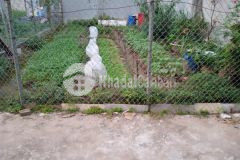 Siêu rẻ chỉ 2.2 tỷ 6.5 m2 đất,mt 4 m phố thanh am thượng thanh long biên